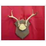 6 pt Plaque Mount
