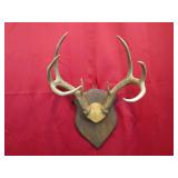 8 pt Plaque Mount