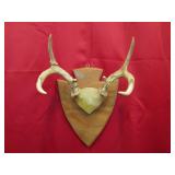 8 pt Arrowhead Plaque Mt