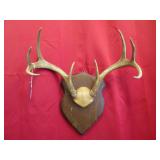 8 pt Arrowhead Plaque Mt