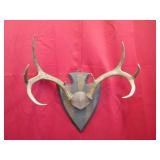 8 pt  Arrowhead Plaque Mt