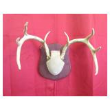 8 pt Rack Plaque Mount
