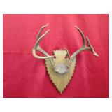 8 pt Arrowhead Plaque Mt