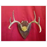 8 Pt Plaque Mount