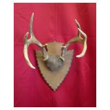 8 Pt Plaque Mount