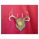 8 Pt Arrow Head Plaque Mount