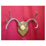 6 Pt Plaque Mount