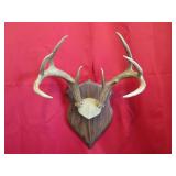 9 Point Plaque Mount
