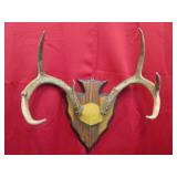 Antler Mount on Arrow Head Plaque