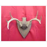 6 pt Arrowhead Plaque Mt