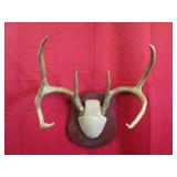 7 pt Plaque Mount