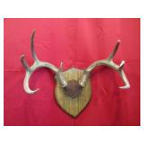 8 PT Plaque Mount