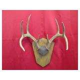 8 pt Plaque Mount