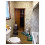 Main house bathroom 1st unit