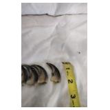 Animal claws