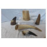 Five Beautiful Genuine Water Buffalo / Cow Horns