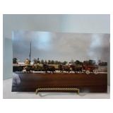 Vintage Coors Belgian Horse Photo