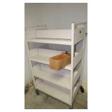 Rolling book carts 3