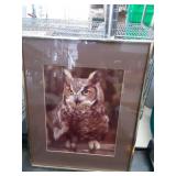 Framed Owl Print