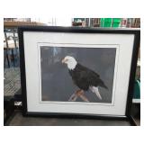 Framed Bald Eagle Print
