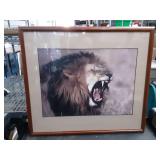 Framed Lion Print