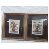 Pair of Botanical Prints in Matching Frames