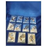 Pittsburgh Steelers Football Cards (11)