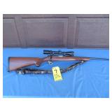 Ruger 77/22 .22 Magnum