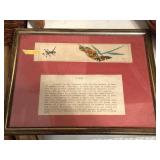 Framed Summary of Origami 10"x 8ï¿½