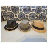 (3) Fedora Hats
