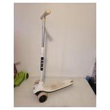 Bird Scooter