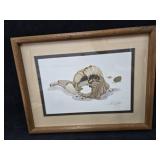 Framed & Signed Watercolor Seashell Print by Framed & Signed Watercolor Seashell Print by