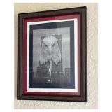 Framed Twin Towers & Bald Eagle