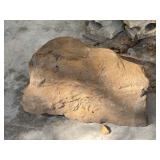 11"x 8" Rock