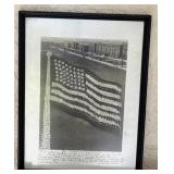 Framed 13"x17" "Living Flag," a Formation of
