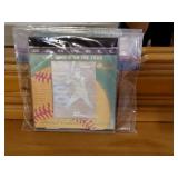 1991 Jeff Bagwell Rookie of the Year Holographic