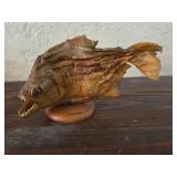 Taxidermy Pirana