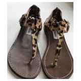 Sz 8 Steve Madden Thong Sandals with a Dark