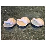 (3) Seashell Candles