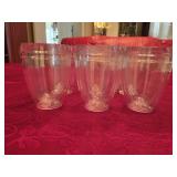 (6) Double Walled Small Glasses
