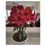 White Ceramic Pot w/Arrangement