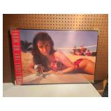 MGD Light Say No More Poster