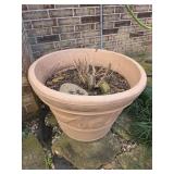 Potted plant plastic pot