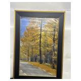 14" x 20" Framed Landscape Photo