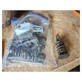 Bag of Engine Valves & Springs