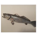 26" Spotted Seatrout Fish Mount