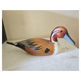 Northern Pintail Wooden Duck