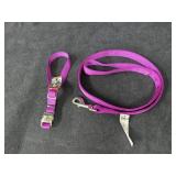 NWT 4' Leash & Medium Collar