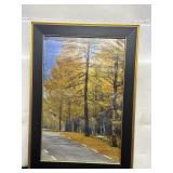 14' x 20' Framed Landscape Photo