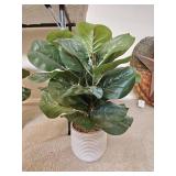 NEW 24' Artificial Fiddle Leaf Fig in Ceramic